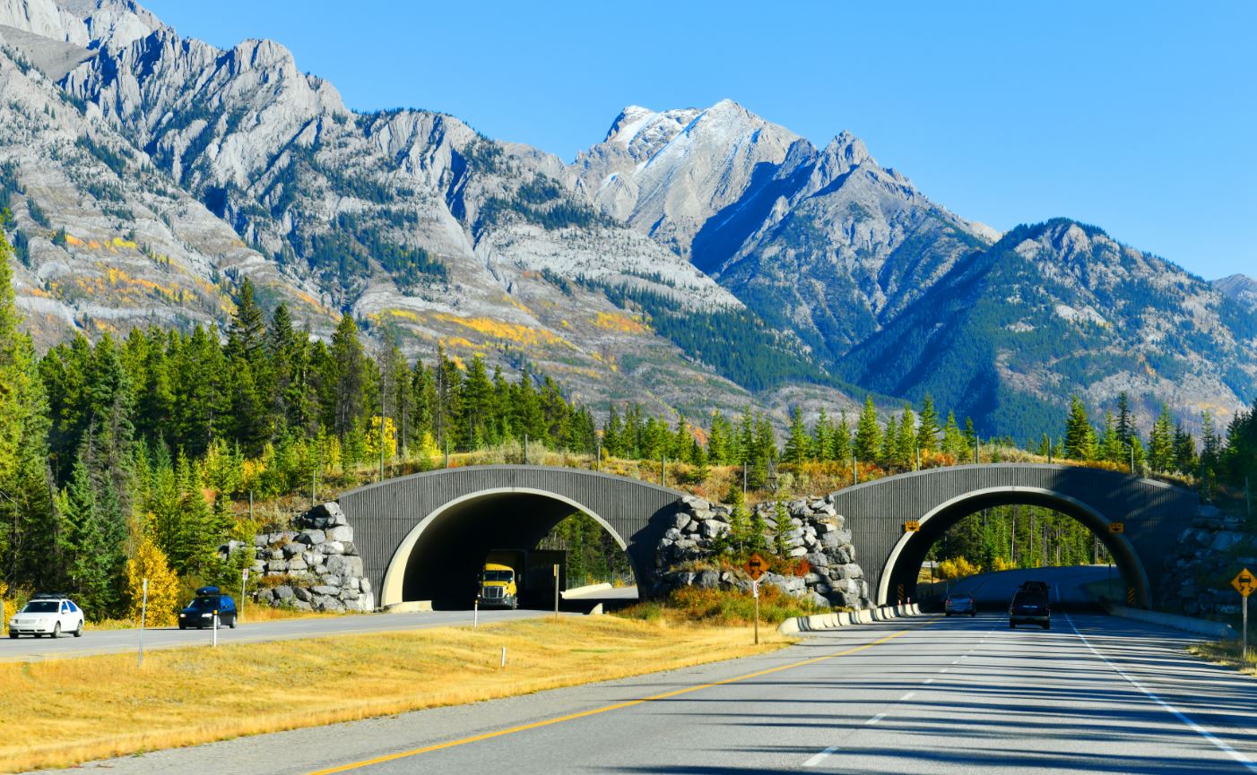 Canada's Main Highway