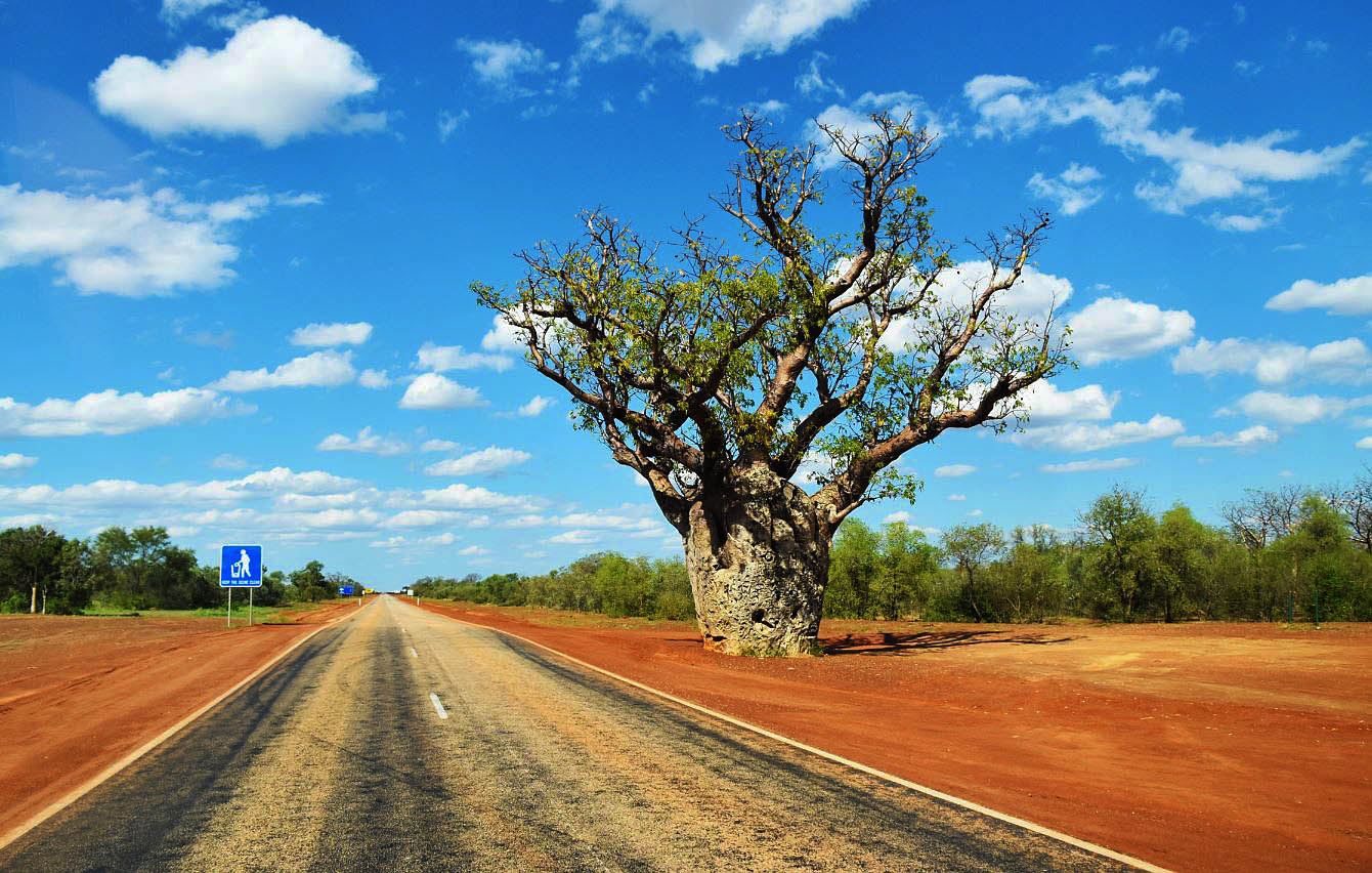 The Kimberley
