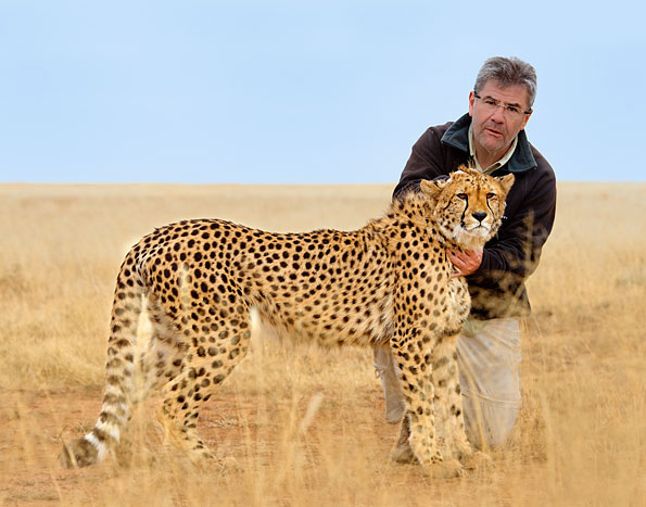Geen 'ferrari safari' voor Jos van Bommel