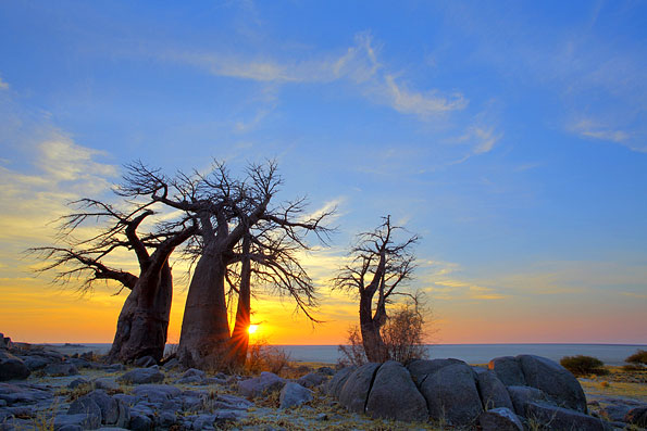 Makgadikgadi Pans in Botswana