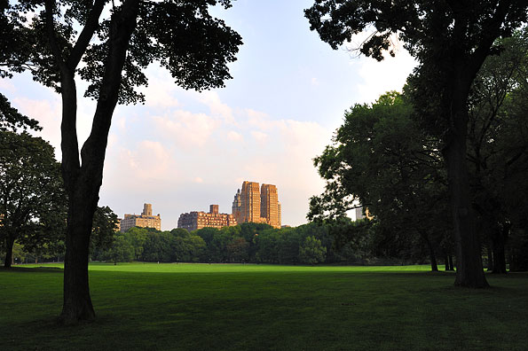 The Great Lawn in Central Park