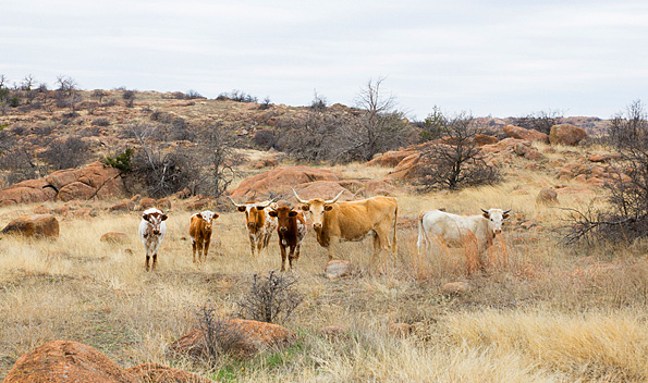 Oklahoma