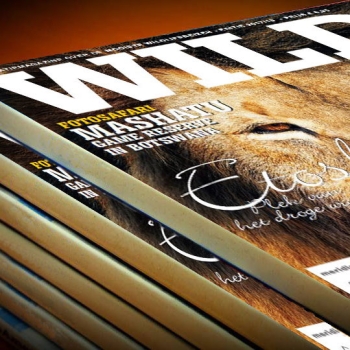 WILD Magazine