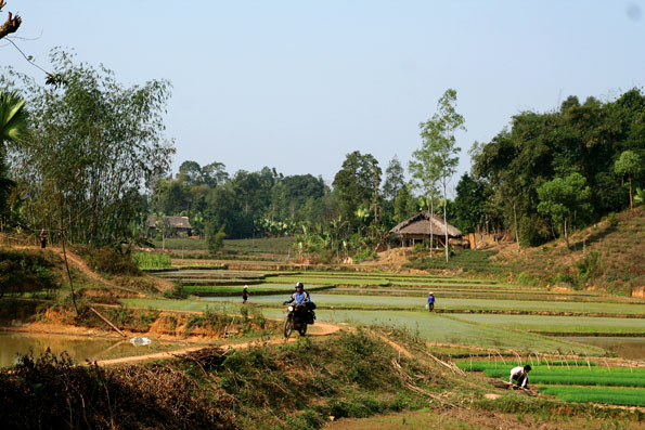 Per motor door de rijstvelden van Vietnam